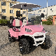  Banpo Automatic Parking 2+2 Seater Solar Panels off Road Electric Golf Cart