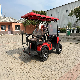 Cheap Mini 4 Wheel 4 Seater 6 Seater 8seater Sightseeing Cart Club Electric Golf Carts for Sale