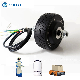 Electric Scooter 4inch 3n. M 24V 150W DC Brushless Wheel Hub Motor for Agv Car