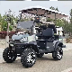  Free Color Custom 2+2 Seat Club Cart Electric Golf Buggy Hunting Car with Parts
