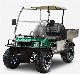 CE/EEC Certificated 2 Seater Golf Car Electric Utility Vehicle with Cargo Box Mini Truck