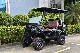 Luxury 4 Seater AC Motor Battery Powered Golf Cart Vehicle