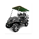  2 Seater Electric Golf Cart 2 Seats Electric Vehicles