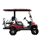  China Electric Golf Cart Ce Approved 4 Seater Electric High Speed Vehicle New Model