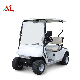 72V 4kw Electric Golf Cart Electric Sightseeing Vehicle for Sale