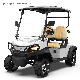  Applying Road-Vehicle Technology Ergonomic Design Best-Selling in Stock Kinghike Electric Golf Cart