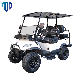  Made in China Top Golf Car 6 Seater 25mph Speed Electric Vehicle