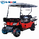 CE Certificate Electric Golf Carts with Professional Instrument 4-Seater off-Road Battery Golf Cart Club Car