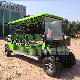 Mini Golf Cart Club Car with Battery 48V Motorized 6 Seater Golf Cart