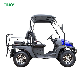 2023 Cheap Gas 400cc Golf Cart for sale