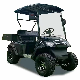  Mini Street 2 Seater Electric Golf Carts Car UTV Buggy for Sale