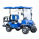  2 4 Seater 48 60V 14 Inch Wheel Electric Golf Cart