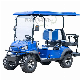  Electric Mini 2 Seaters 48V Electric Golf Cart for Sale