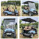  Electric Golf Cart/Buggy/Gas Powered Golf Cart/2seats/4seats/6seats/8seats/10sets/12seats/14seats