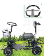 Mini Golf Cart Electric Golf Cart Golf Vehicle Single Person Golf Cart