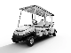 6 Seats Electric Golf Car with High Performance and Low Cost