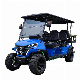 Best Electric Lithium Powered Golf Carts Electric Buggy Car Price