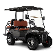  48V 4kw Mini Electric Golf Car Hunting Cart