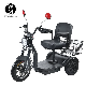 Wholesale Price 500W 3 Wheel Electric Mobility Tricycle Scooter