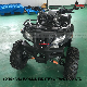 150cc 200cc Balance Shaft Engine ATV Commander 10 Inch Wheel E-Start off-Road Quad China  Supplier