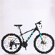  High Quality Road Bicycle Fashion Mountain Bike