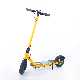 350W Intelligent Recharge LED Light Electric Folding Scooter