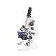 1250X Monocular Biological School Student Microscope Xsp-13A Educational Lab Microscope