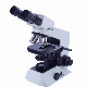 Laboratory Binocular Biological Educational Microscope