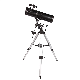  650X130EQ3 Wholesale High End Equatorial Newtonian Reflector Astronomical Telescope