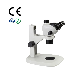 Diagram Microscope Enfant 3 Ansmotic Stereo Binocular Microscope Price