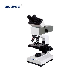 Biobase Trinocular Stereo Fluorescence Microscope Manufacturers Microscope for Lab