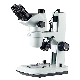 Stereo Microscope Trinocular Microscope with Camera