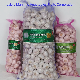 2020 New Crop Fresh Normal White Red Chinese Garlic