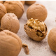 Chinese High Quality Nutritious Whole Walnuts in Paper Shell