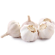  Wholesale Top Quality Chinese Fresh Garlic Garlic