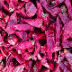  Competitive Price Dried Chili Red Chilis