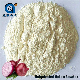 Bulk Price High Quality Dehydrated White Onion Powder for Free Sample