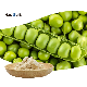 Organic Pea Protein/Isolated Pea Protein 80%-85% in Stock Fast Delivery