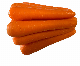  High Quality Chinese New Crop Fresh Carrot for Export