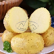 China Supply Great Capacity Potato with Factory Price