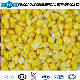 IQF Natural Frozen Sweet Corn Factory Supply Best Price