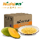 Natural Spray Dried Mango Fruit Powder / Mango Powder /Mango Juice Powder