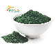 Food Grade 100% Pure Extract Organic Spirulina Powder Bulk for Sale