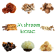  Professional Fungus Extract Factory Provides Steady Supply Mushroom Extract