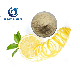  Organic Health Food Ingredient/Food Additive Lemon Fruit Peel Powder, Lemon Extract Powder