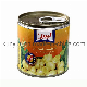 Canned Mushroom with High Quality and Good Price