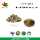 Plant Herbal Extract Protodioscin Total Saponins Powder Tribulus Terrestris Extract