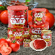 Buy Tomato Paste From China Manufacturer Tomatoes A10 Tin 3kg Tomato Paste for Europe