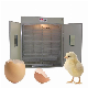  High Hatching Rate Egg Incubator for Sale