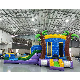 Backyard Party Jumpers Inflatable Bouncy Jumping Castle with Water Slide